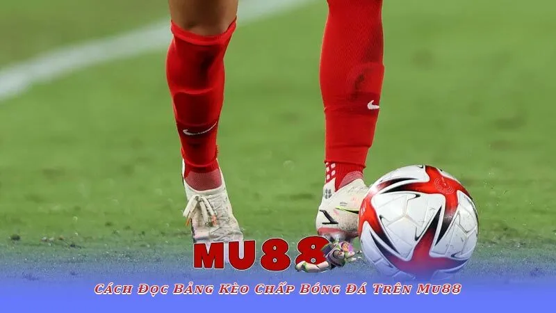 Cách Đọc Bảng Kèo Chấp Bóng Đá Trên Mu88