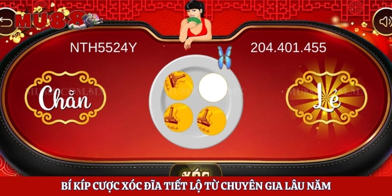 Xóc Đĩa Haywin - Game Cược Đẳng Cấp Tại Nhà Cái Mu88 5 Bí kíp cược xóc đĩa tiết lộ từ chuyên gia lâu năm