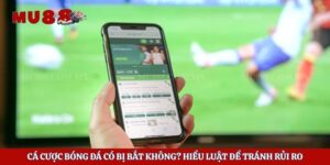 Cá Cược Bóng Đá Có Bị Bắt Không? Hiểu Luật Để Tránh Rủi Ro