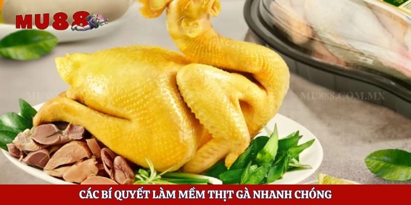 Gà Đá Có Ăn Được Không - Hướng Dẫn Chế Biến Siêu Ngon 4 Các bí quyết làm mềm thịt gà nhanh chóng
