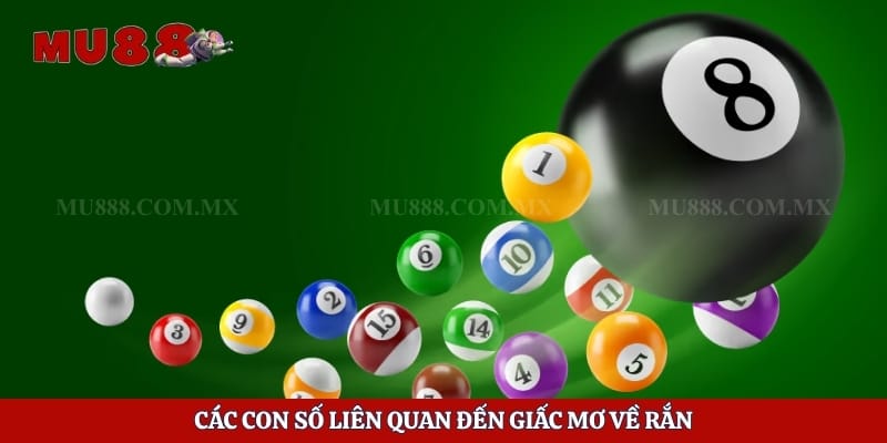 Các con số liên quan đến giấc mơ về rắn