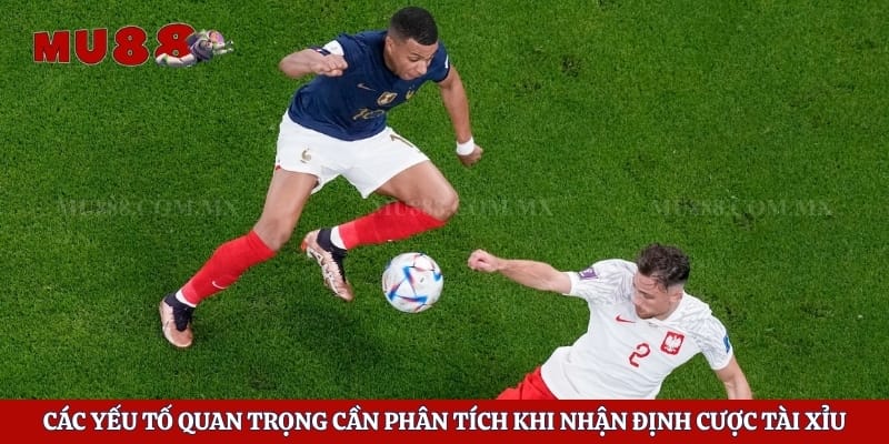 Kèo Tài Xỉu - Chiến Thuật Soi Cầu Lật Đổ Mọi Sân Chơi 6 Các yếu tố quan trọng cần phân tích khi nhận định cược tài xỉu