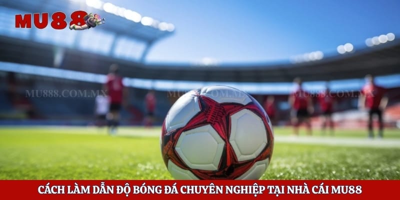 Cách Làm Dẫn Độ Bóng Đá Chuyên Nghiệp Tại Nhà Cái Mu88 1 Cách Làm Dẫn Độ Bóng Đá Chuyên Nghiệp Tại Nhà Cái Mu88