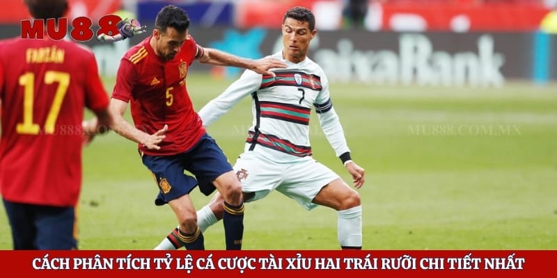 Kèo Tài Xỉu - Chiến Thuật Soi Cầu Lật Đổ Mọi Sân Chơi 4 Cách phân tích tỷ lệ cá cược tài xỉu hai trái rưỡi chi tiết nhất