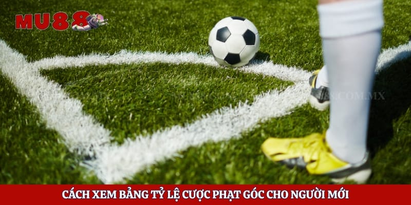 Kèo Phạt Góc - Bí Mật Kiếm Tiền Tỷ Từ Các Trận Đấu Lớn 5 Cách xem bảng tỷ lệ cược phạt góc cho người mới