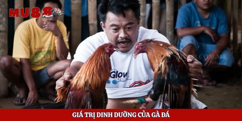 Giá trị dinh dưỡng của gà đá