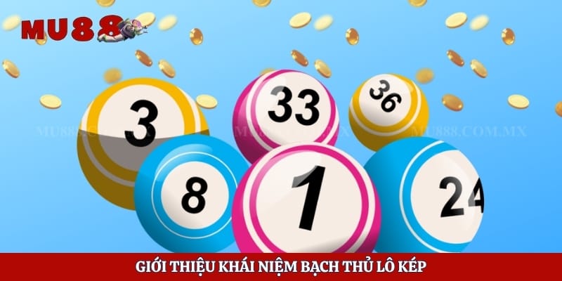 Bạch Thủ Lô Kép - Cách Nhận Biết, Phương Pháp Chọn Số Chuẩn 2 Giới thiệu khái niệm bạch thủ lô kép