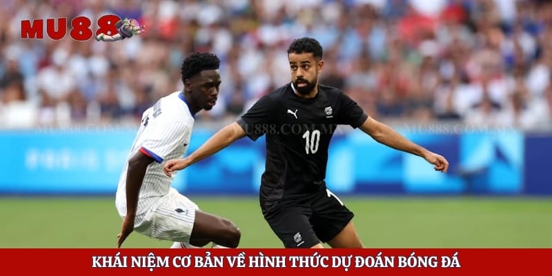 Khái niệm cơ bản về hình thức dự đoán bóng đá