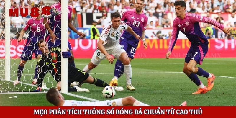 Mẹo phân tích thông số bóng đá chuẩn từ cao thủ