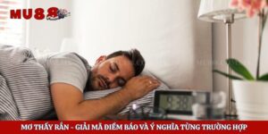 Mơ Thấy Rắn - Giải Mã Điềm Báo Và Ý Nghĩa Từng Trường Hợp 6 Mơ Thấy Rắn – Giải Mã Điềm Báo Và Ý Nghĩa Từng Trường Hợp