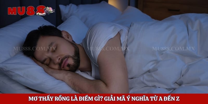 Mơ Thấy Rồng Là Điềm Gì? Giải Mã Ý Nghĩa Từ A Đến Z 1 Mơ Thấy Rồng Là Điềm Gì? Giải Mã Ý Nghĩa Từ A Đến Z