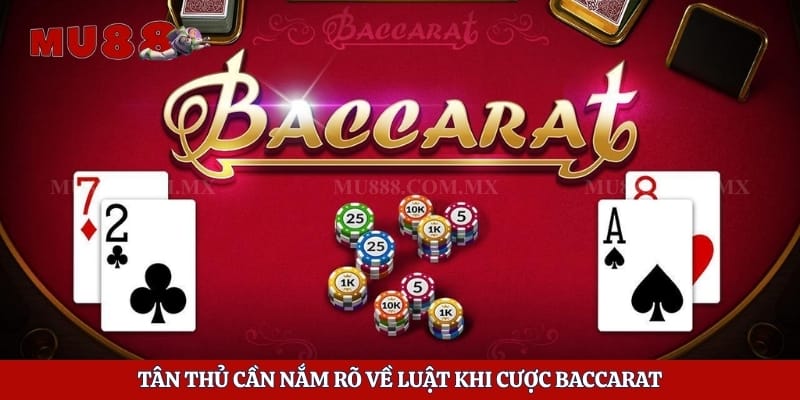 Luật Chơi Baccarat - Yếu Tố Người Chơi Cần Nắm Vững Từ Đầu 6 Tân thủ cần nắm rõ về luật khi cược baccarat