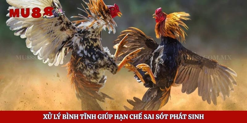 Kinh Nghiệm Đá Gà Không Bị Bắt Và Cách Tránh Rủi Ro 5 Xử lý bình tĩnh giúp hạn chế sai sót phát sinh